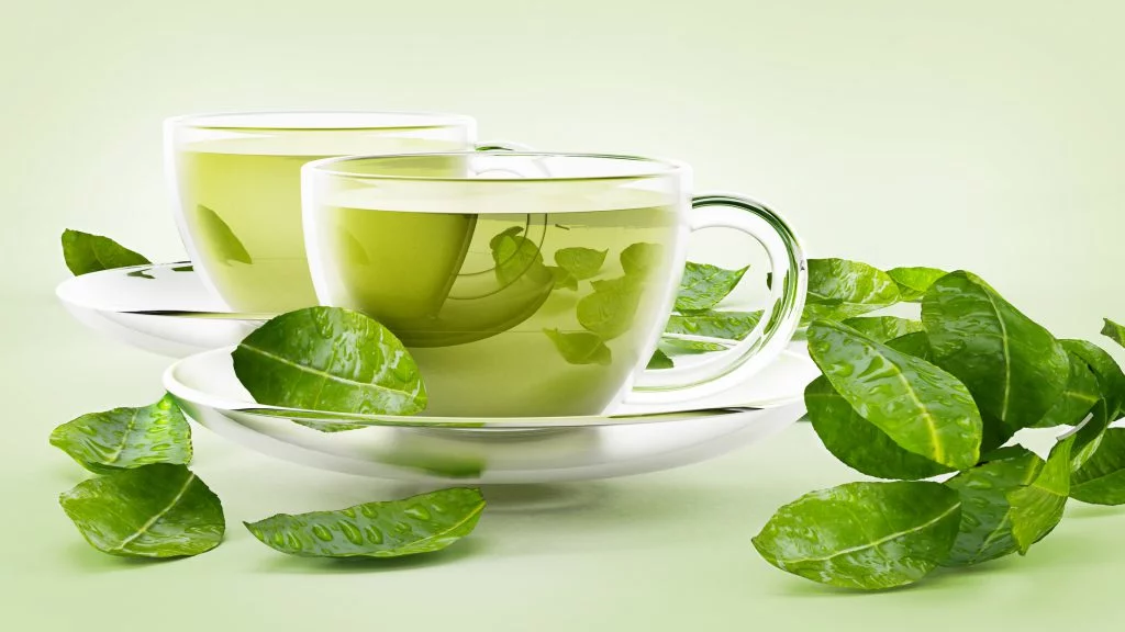 Grønn te - Camellia Sinensis